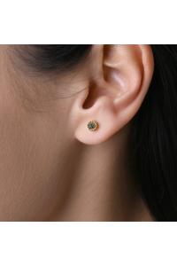 Obrázok pre Náušnice oceľové s africkým tyrkysom 41016.3