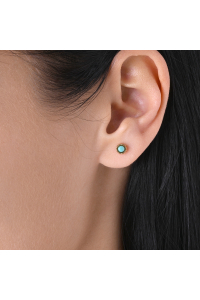 Obrázok pre Náušnice oceľové s tyrkysom 41016.3