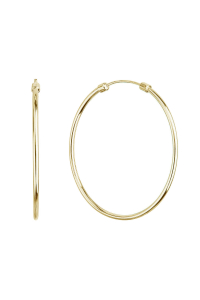 Pozlátené strieborné náušnice kruhy 61008 Obrázok pre Pozlátené strieborné náušnice kruhy 61008