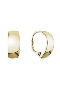 Pozlátené strieborné náušnice kruhy 61070 Obrázok pre Pozlátené strieborné náušnice kruhy 61070