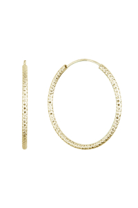 Pozlátené strieborné náušnice kruhy s ozdobným prelisovaním 61006 Obrázok pre Pozlátené strieborné náušnice kruhy s ozdobným prelisovaním 61006