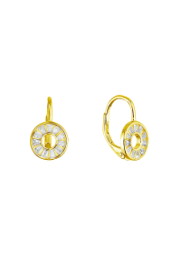 Pozlátené strieborné náušnice krúžok ananás 11719.1 Obrázok pre Pozlátené strieborné náušnice krúžok ananás 11719.1