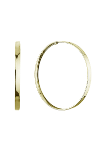 Obrázok pre Strieborné pozlátené náušnice kruhy 61069