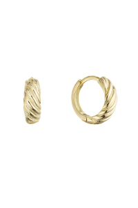 Obrázok pre Pozlátené kruhy 61159