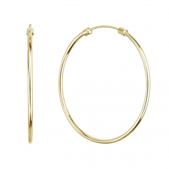 Obrázok pre Pozlátené strieborné náušnice kruhy 61008