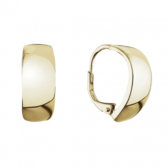 Obrázok pre Pozlátené strieborné náušnice kruhy 61070