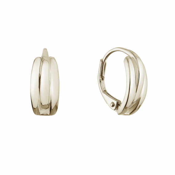 Obrázok pre Pozlátené strieborné náušnice kruhy 61071