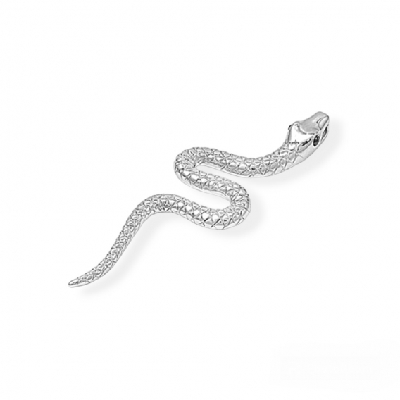Obrázok pre Strieborný prívesok Had