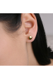 Obrázok pre Náušnice kolieska 41003.1
