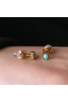 Obrázok pre Náušnice oceľové s tyrkysom 41016.3