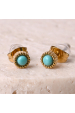Obrázok pre Náušnice oceľové s tyrkysom 41016.3