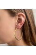 Obrázok pre Pozlátené strieborné náušnice kruhy 61009
