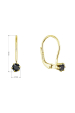 Obrázok pre Pozlátené visiace náušnice s Preciosa kryštálom 31322.3 jet