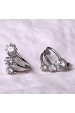 Obrázok pre Strieborné náušnice vejáriky 11764.1
