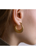 Obrázok pre Náušnice ELARAE gold