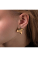 Obrázok pre Náušnice ELVRA gold