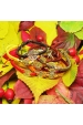 Obrázok pre Náramok pletený Strom - rôzne jesenné farby