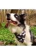 Obrázok pre Bavlnená šatka pre psíka - Psi a mačky obojstranný vzor čierna/biela