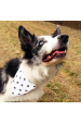 Obrázok pre Bavlnená šatka pre psíka - Psie labky obojstranný vzor čierna/biela