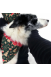 Obrázok pre Bavlnená šatka pre psíka - Vianoce obojstranný vzor zelená / červená