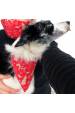 Obrázok pre Bavlnená šatka pre psíka - Vianoce obojstranný vzor červená / biela
