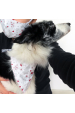 Obrázok pre Bavlnená šatka pre psíka - Vianoce obojstranný vzor biela / sivé vločky